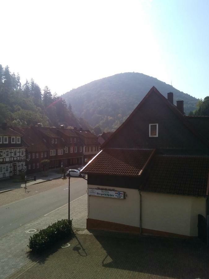 Hotel Bergschlosschen Zorge Kültér fotó